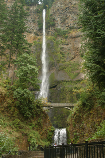 header image 2